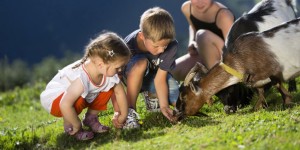 i bimbi scoprono il mondo